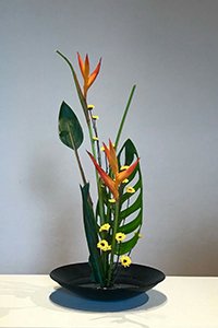2018花現生活 — 如果聽得見花語