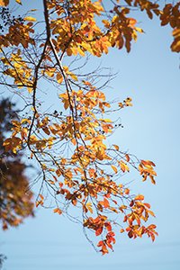 終與「慈悲」相遇