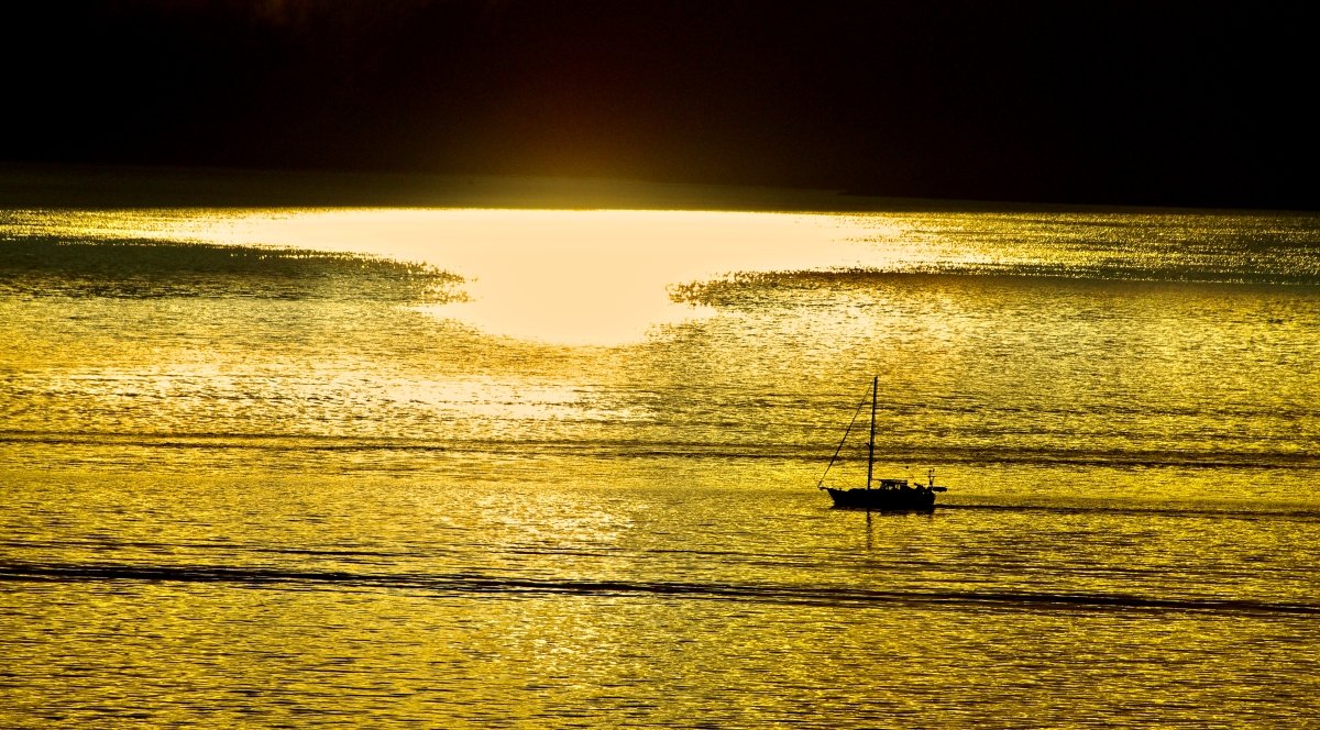 於一切境無依無住——週四禪坐共修常興法師開示心得分享