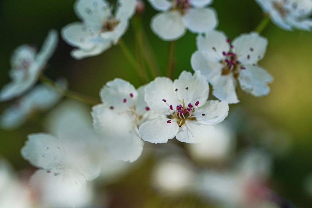 豁達面對人生大事──第一次臨終助念實體經驗