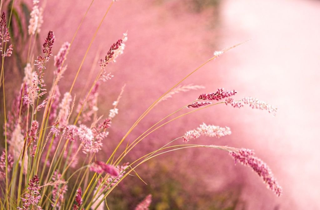 What are the characteristics and effects of straying into a “mechanical” state when using the methods of chanting Buddha’s name and counting breaths?