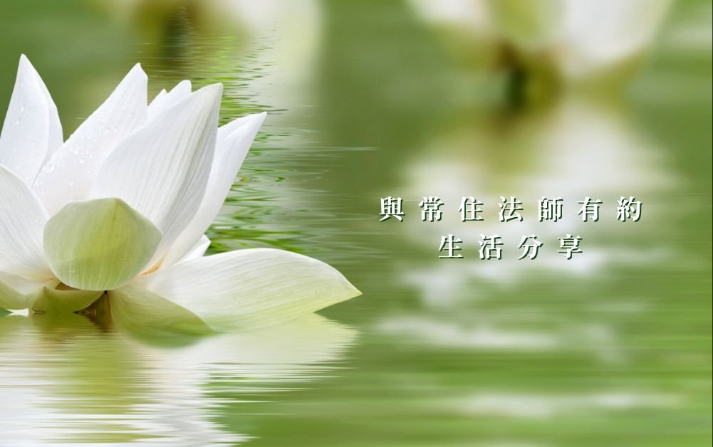 受保護的內容: 回頭看自己的禪修基礎：具足正見