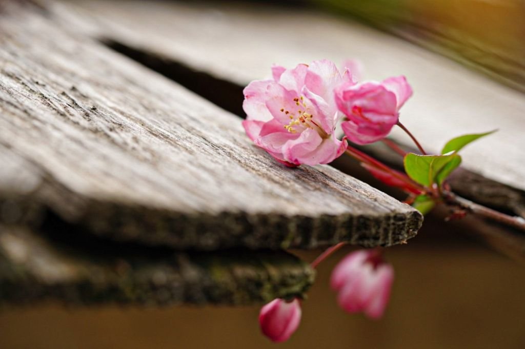 How can one keep the habit of sitting meditation when physically exhausted, and even apply it during intensive meditation retreats?