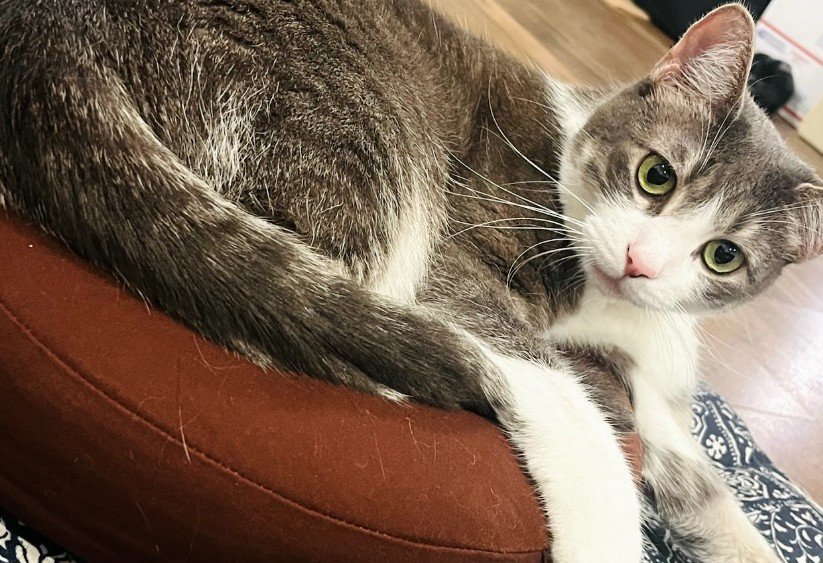 在祥樂豐足中增長智慧